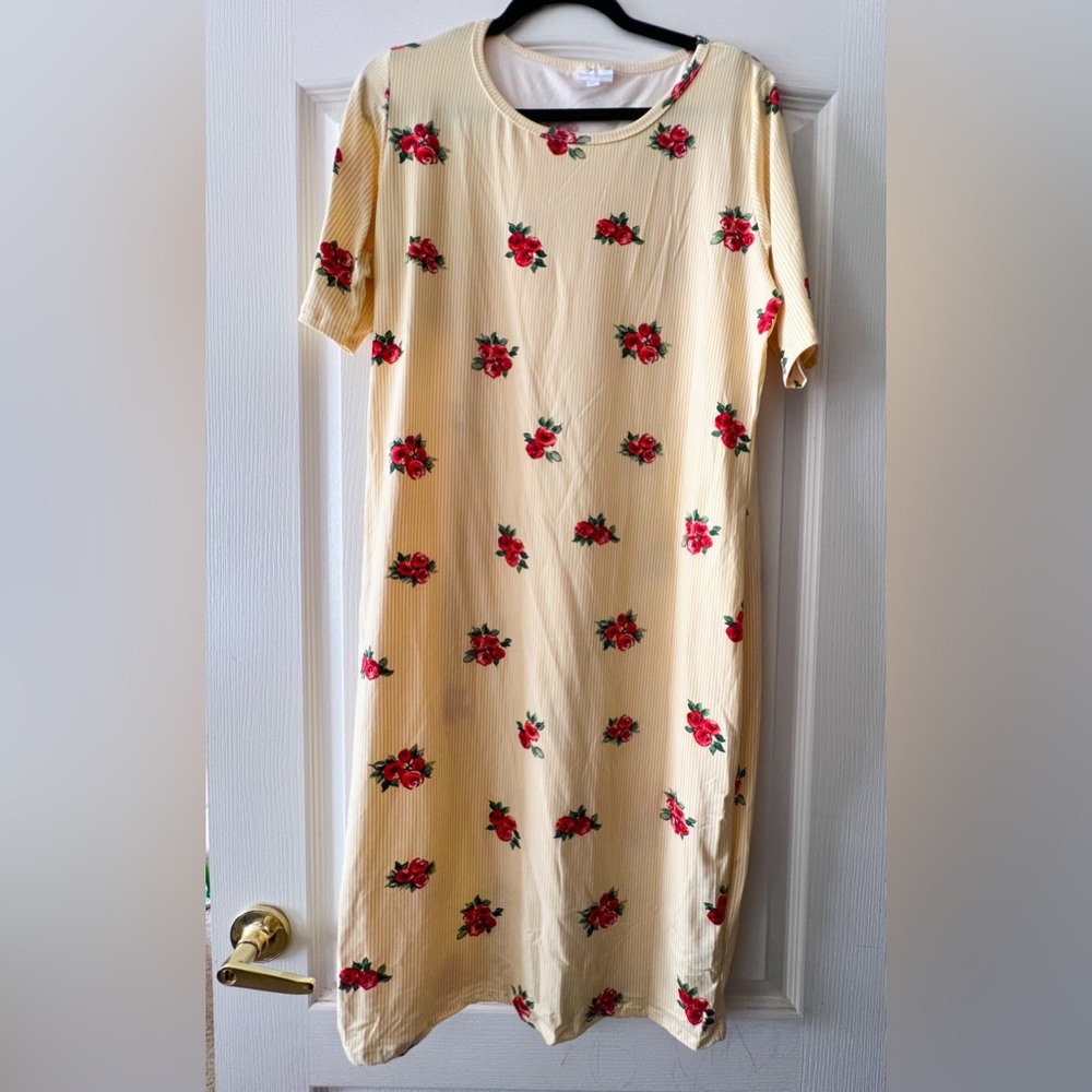 NWOT LuLaRoe Julia XL